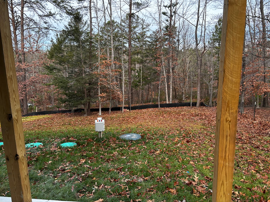 garden view from entrance