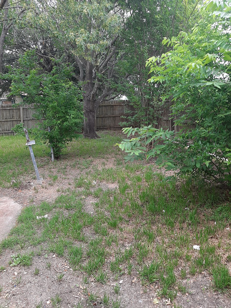 Furnished Finder property 644277_1 photo 5
