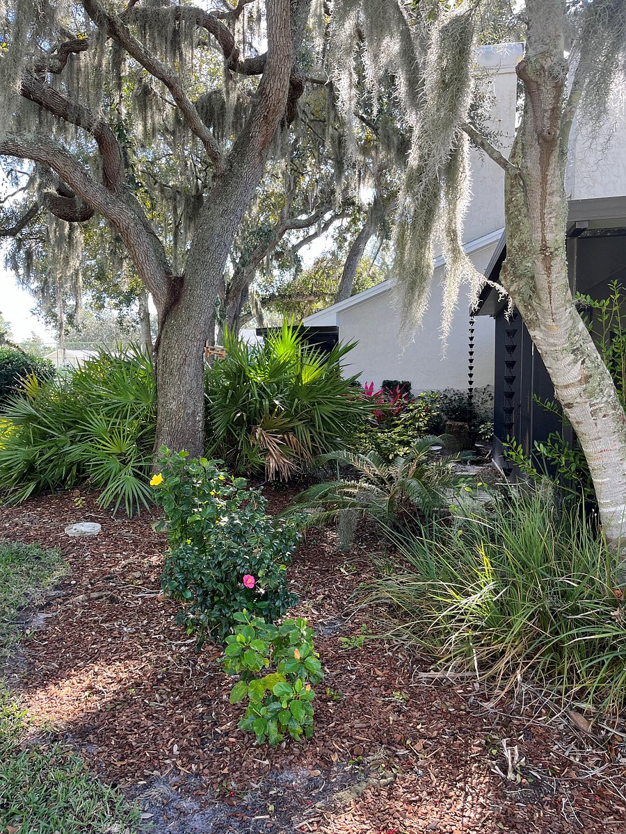 Furnished Finder property 644341_1 photo 10