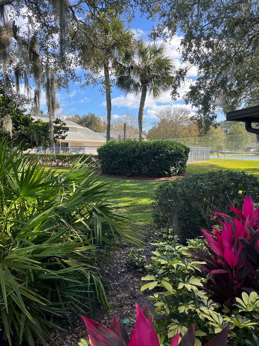 Furnished Finder property 644341_1 photo 14