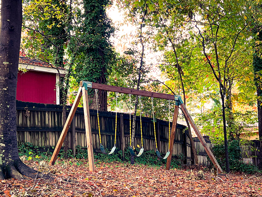 Private swings, in the back yard!
