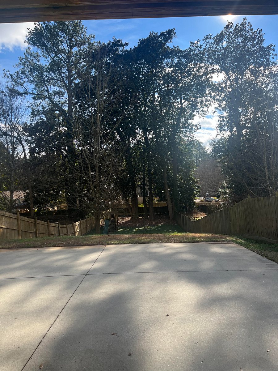 Backyard view