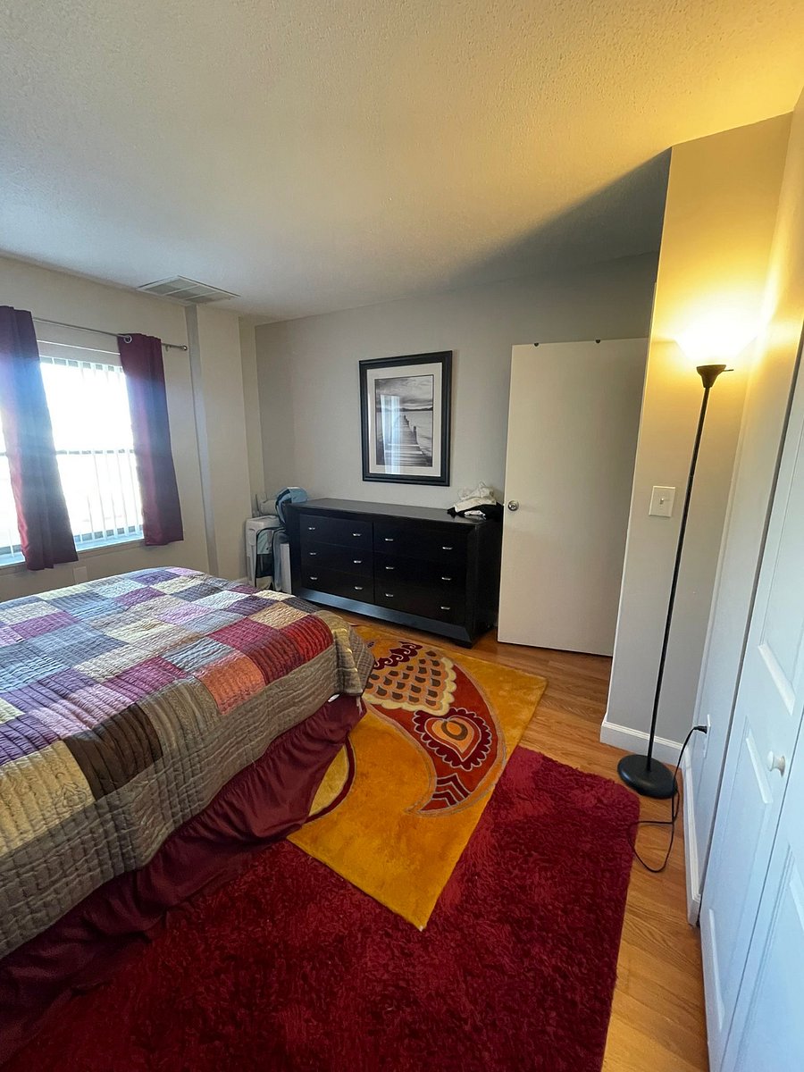 Furnished Finder property 645097_2 photo 4