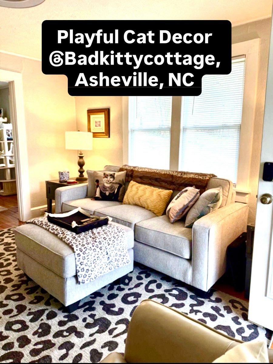 Super comfy sofa in front of a cozy gas log fireplace, ceiling fans in each room, playful insta moment(s) with the decor and your pet!