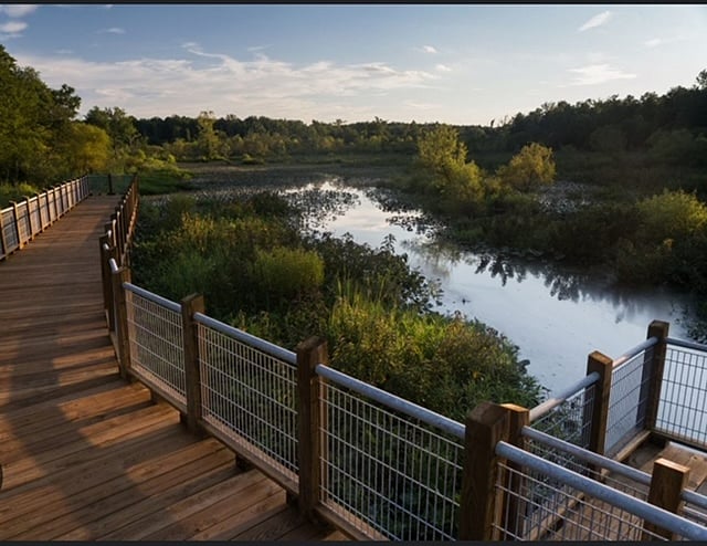 The beauty of Tuckahoe Creek Park and Wildlife Sanctuary, steps away from the front door.