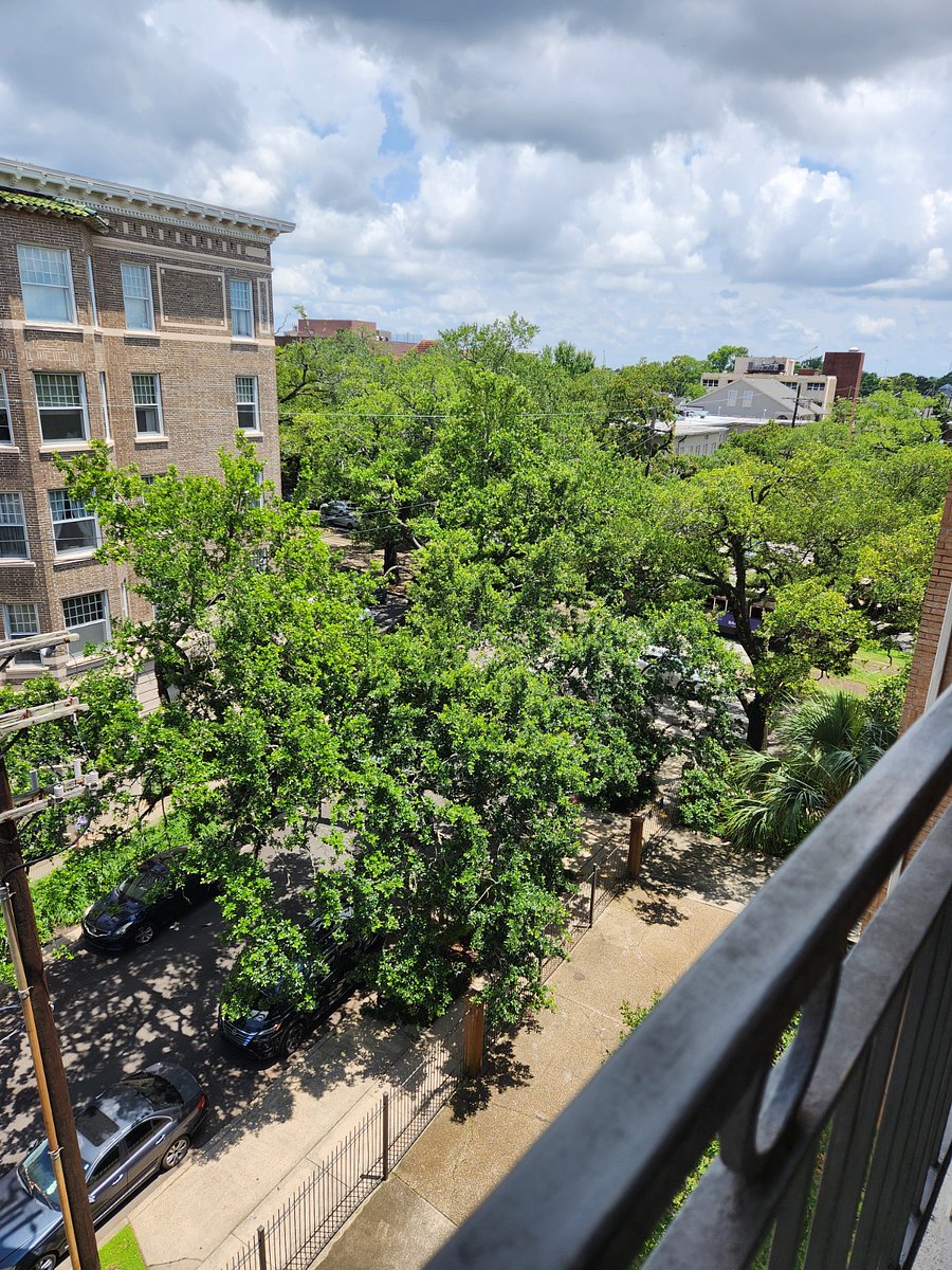 Furnished Finder property 645555_1 photo 13
