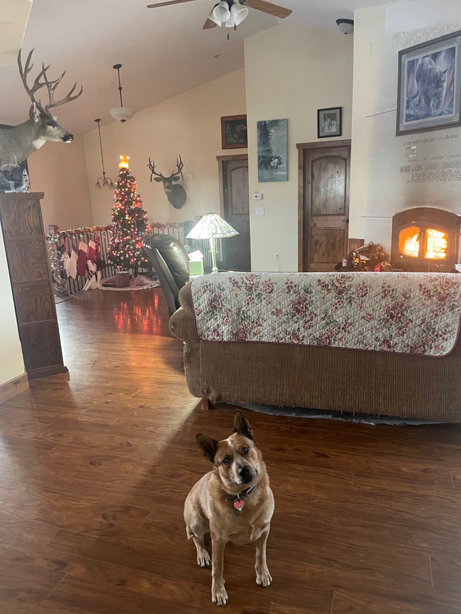 Upstairs family room with fireplace
