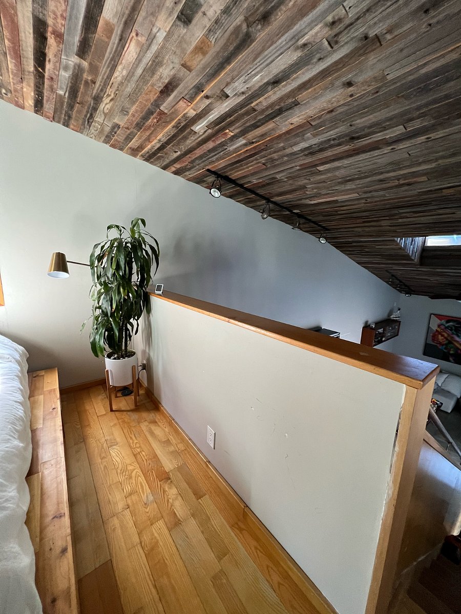 Furnished Finder property 646011_1 photo 15
