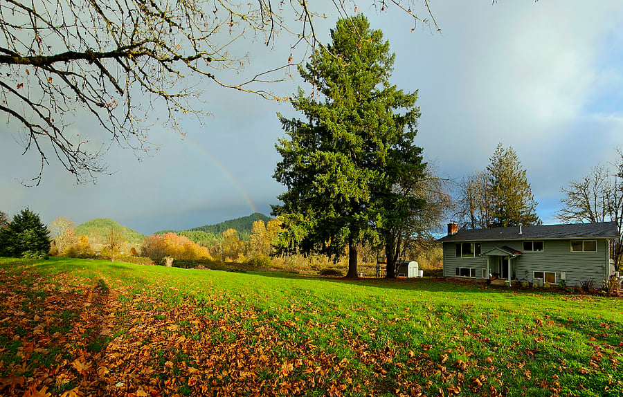 Our location brings nature to your doorstep! Studio unit lower left with back private entrance.