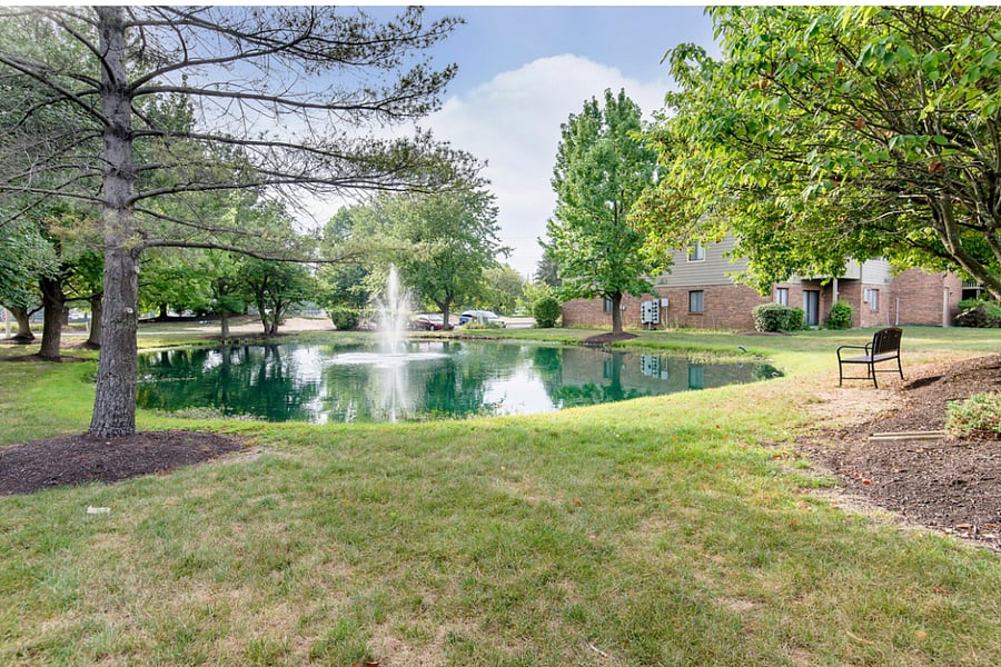 Furnished Finder property 646201_1 photo 12