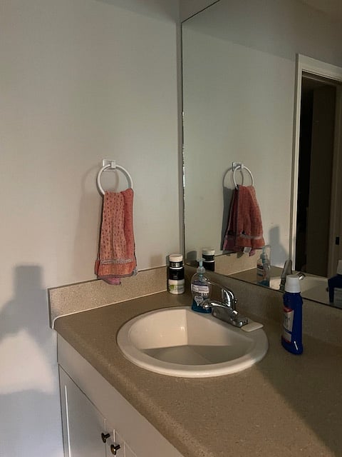 Master Sink separate from shower/toilet area.