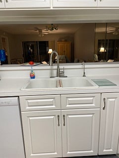 Filtered drinking water tap on the right.
Disposal on left side.
More storage under the sink.