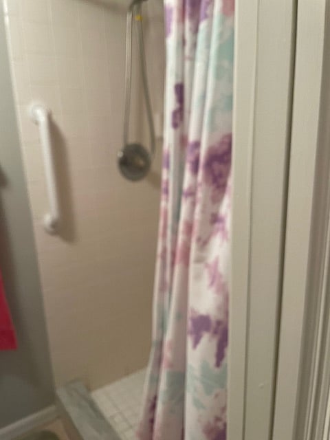 Safe shower in master bath.  Small step into the shower.
