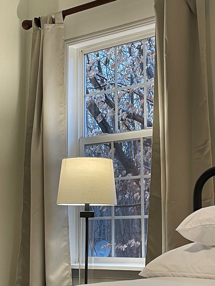 Mountain room view.