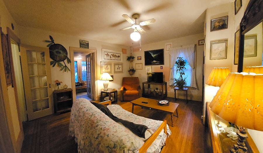 View as you enter apartment from main hallway. The window is south facing. The vintage orange chair has a footrest that goes up.