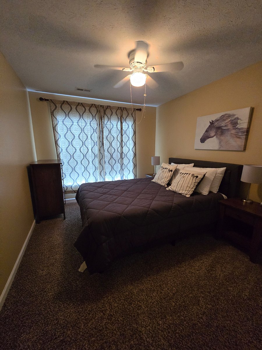 Furnished Finder property 646824_1 photo 11