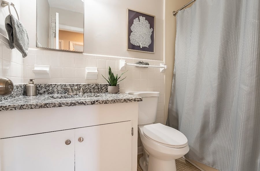 Hallway bathroom