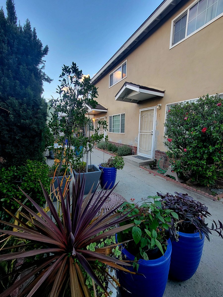 Furnished Finder property 647109_1 photo 13