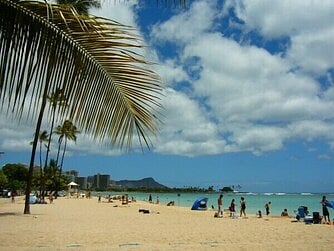 Ala Moana Beach - avoid Waikiki crazyness and go to a nice mellow beach with white sand. About 15 minutes from downhill from condo - we provide beach towels, and beach chairs, cooler. Local residents go here for their day outings, with grass, picnic areas, public facilities and FREE parking unlike Waikiki.