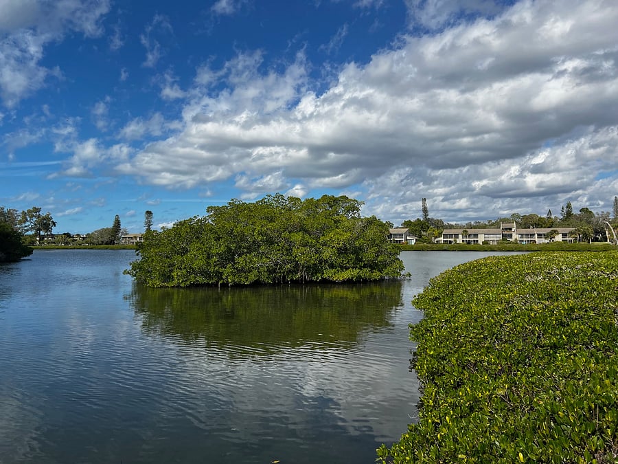 Enjoy this view just a quick walk from the front door.