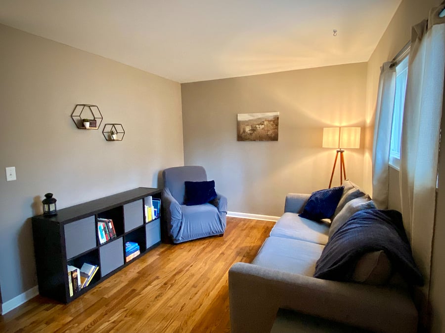 Den/Office with books and games - couch is a pull-out with a queen mattress