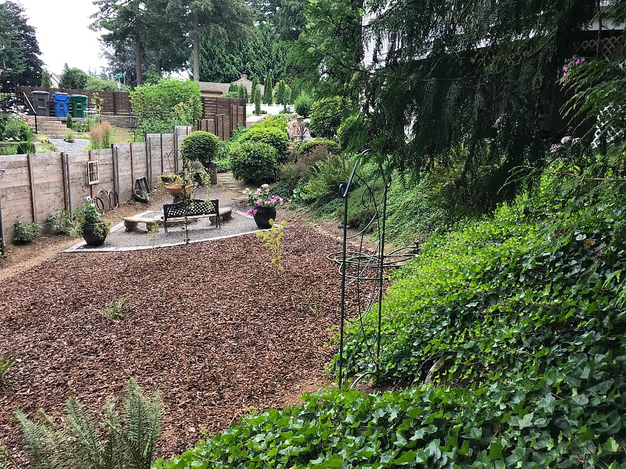 Back yard fire pit