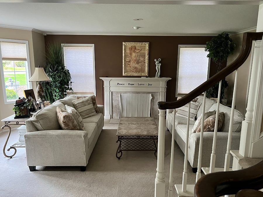 Living room (U cover the fireplace in the winter to save on heating costs)