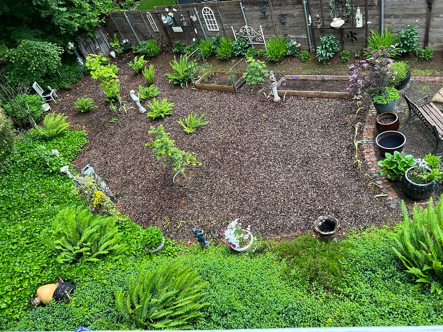 Looking down from upper deck to the back yard