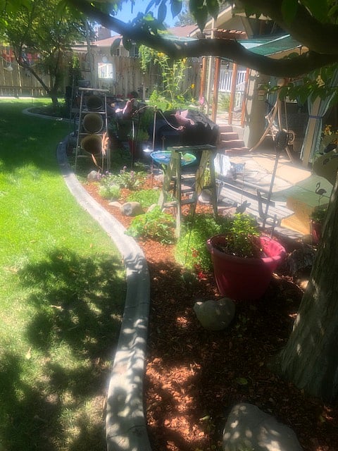 Shared backyard shown in all its spring and summer glory!