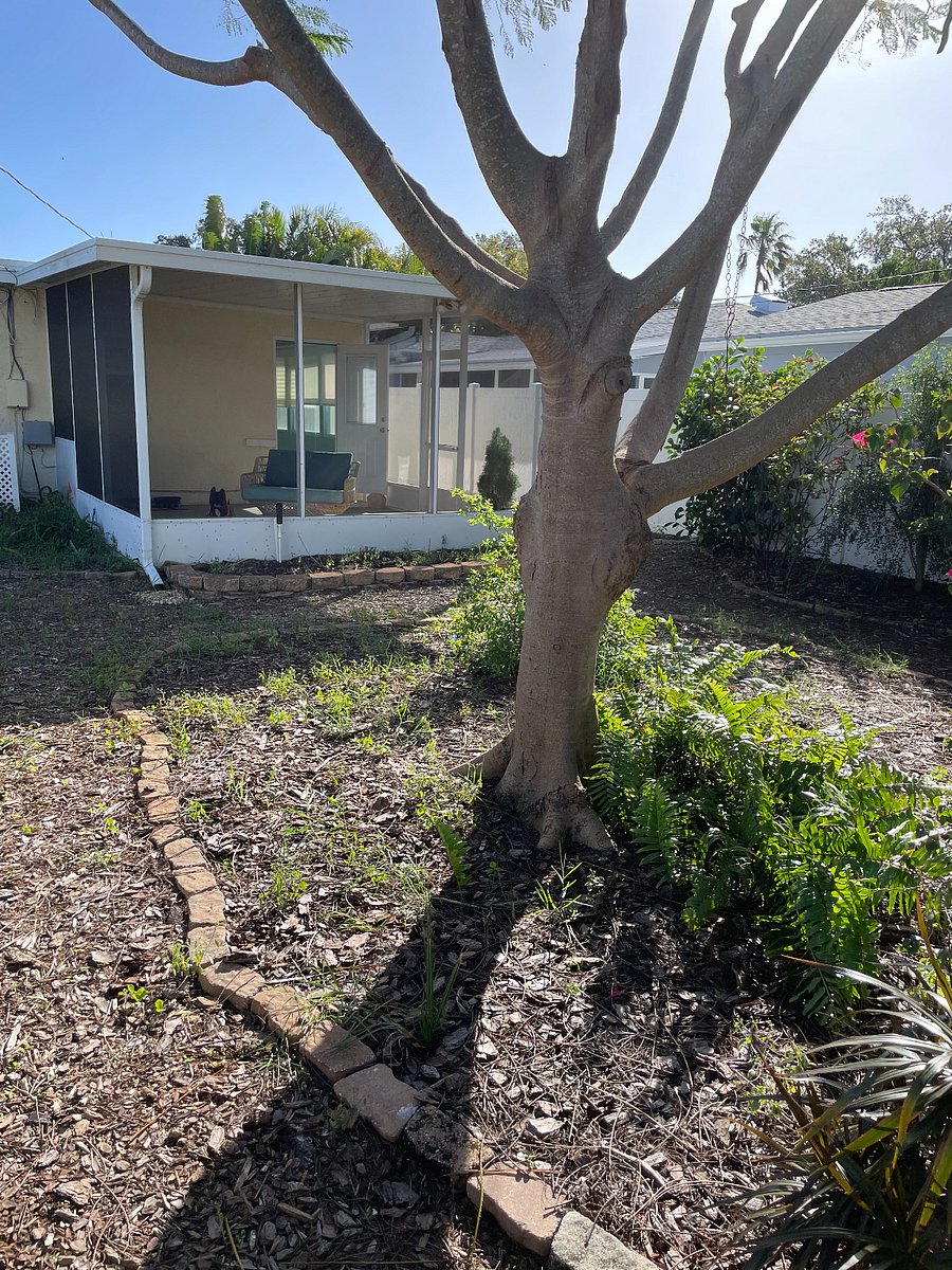 Furnished Finder property 647901_1 photo 26