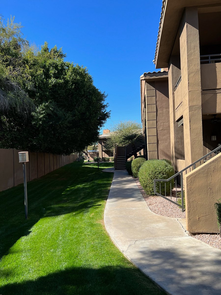 Furnished Finder property 648060_1 photo 22