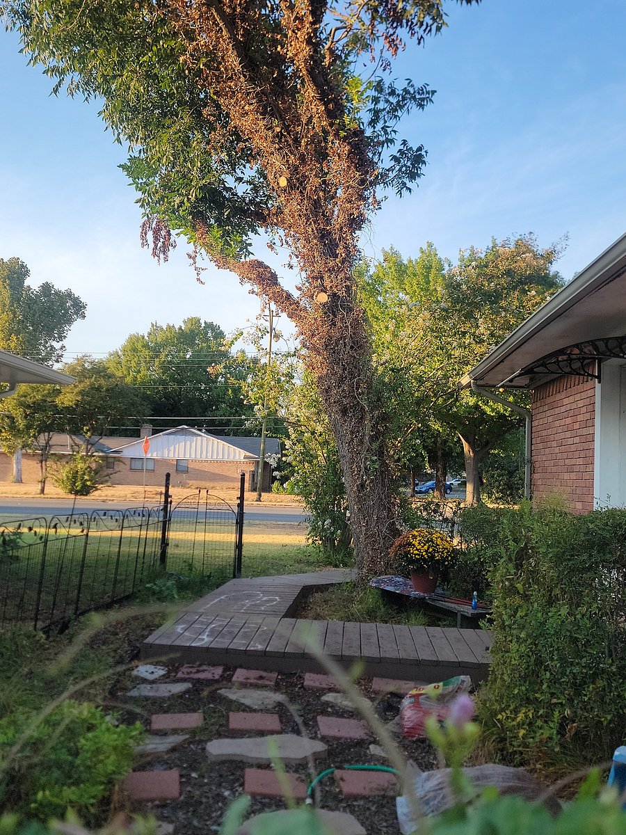 Furnished Finder property 648133_2 photo 25