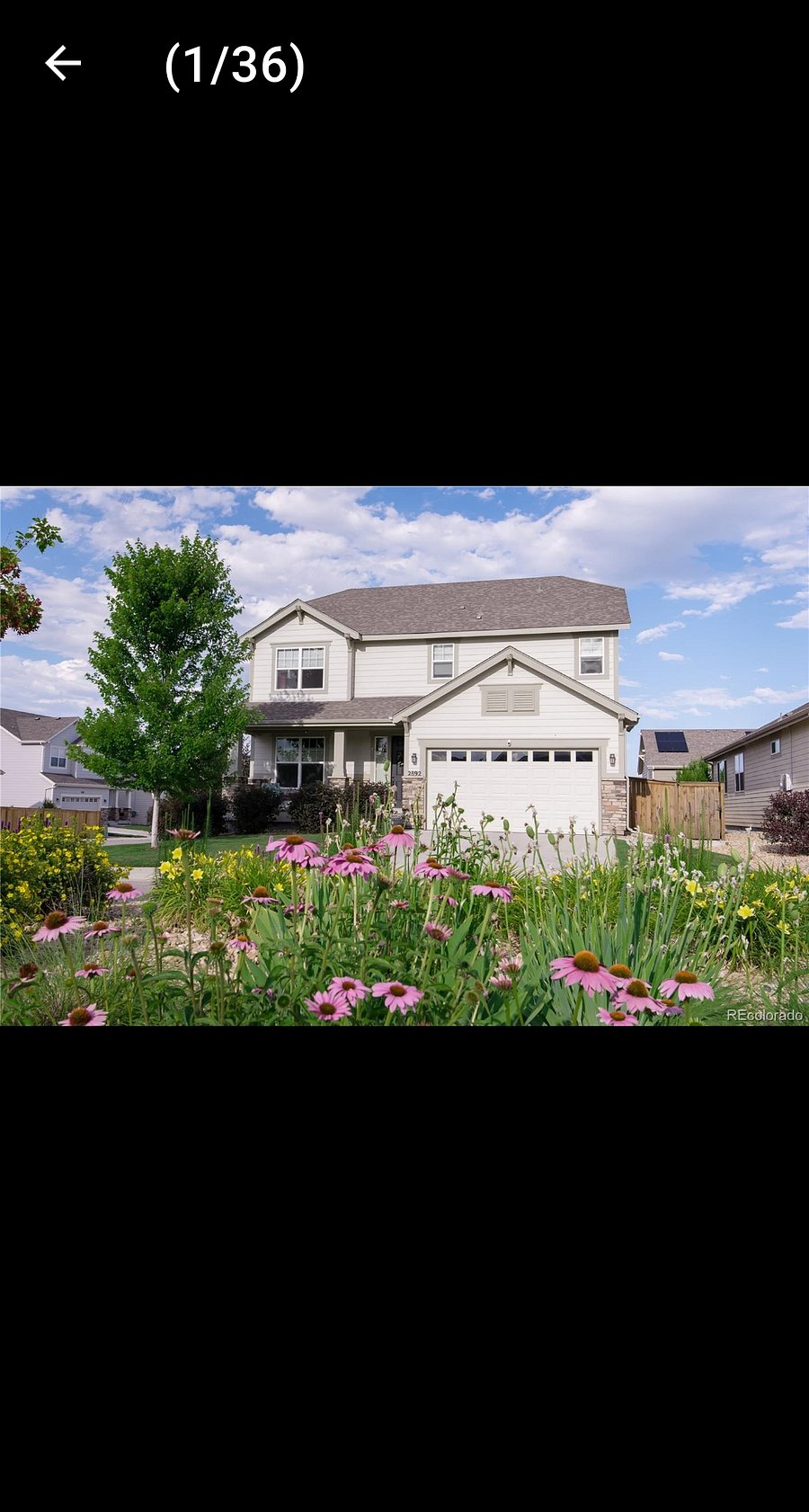 Furnished Finder property 648444_1 photo 17
