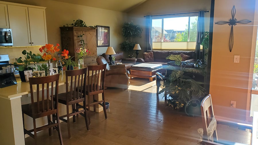 Main living area with currently furniture shown