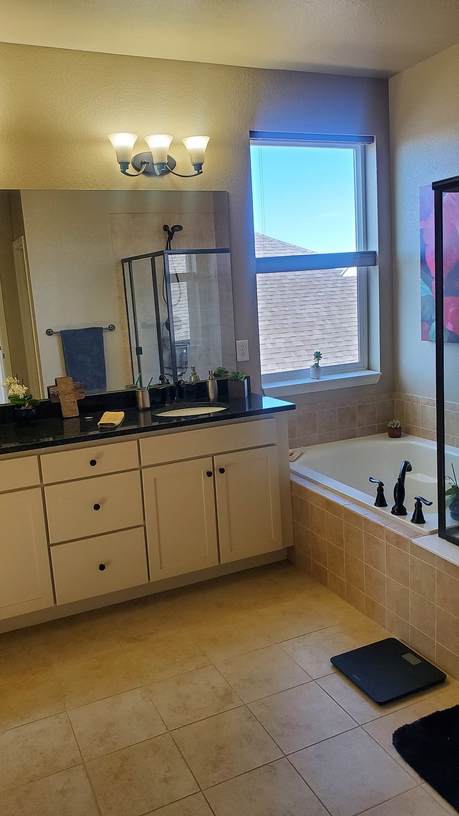 Master bathroom, separate shower, bathtub, toilet in its own room, double sink, walk in closet