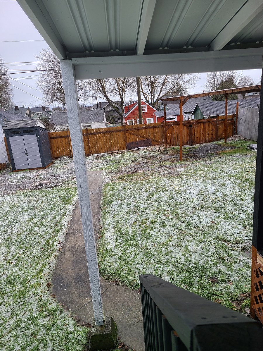 Back Yard, Fenced In