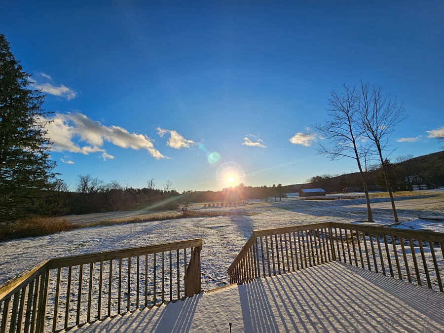 Backyard (not fenced)