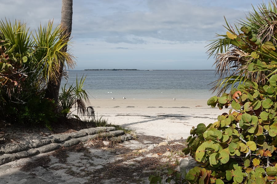 The land in the distance is Fred Howard Park - our OTHER beach park!