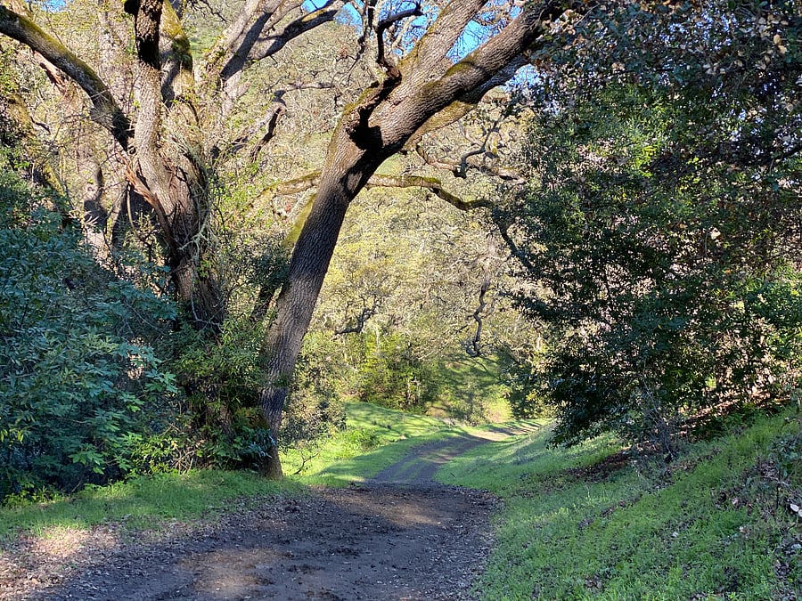 Nearby hiking trails