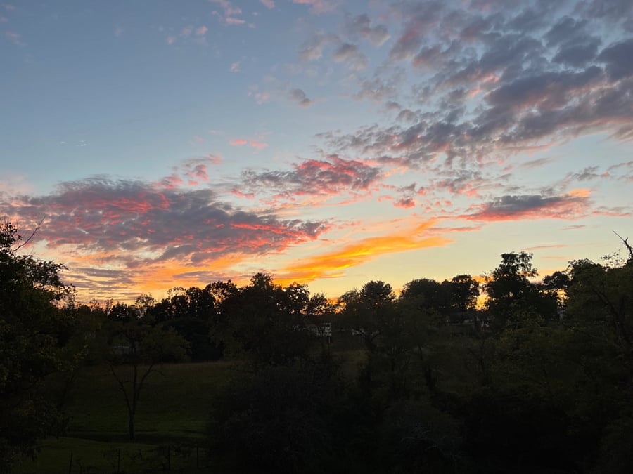 Summer sunset 