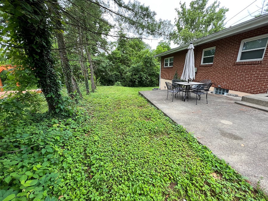 Outside Patio