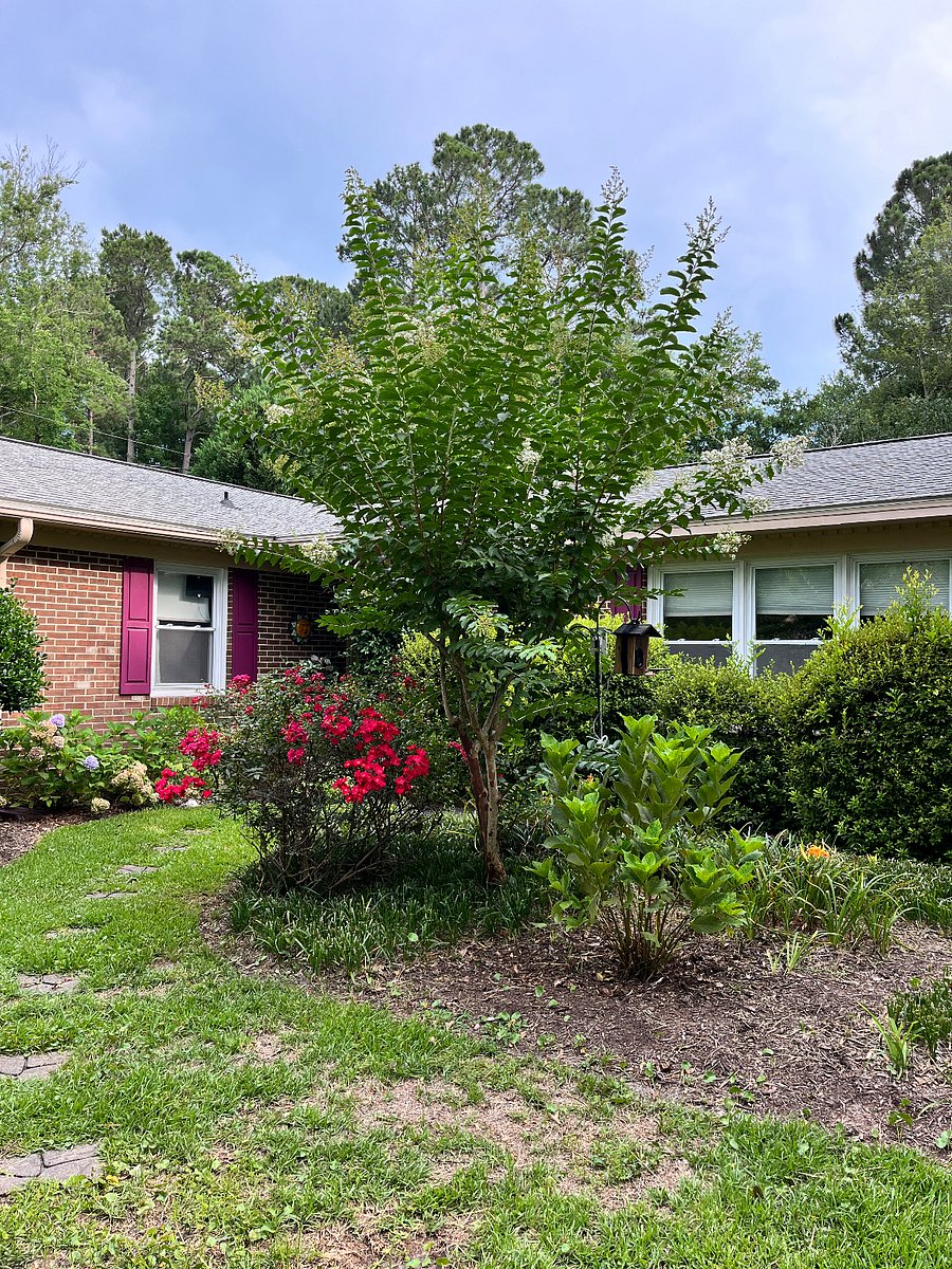 Furnished Finder property 648977_1 photo 29