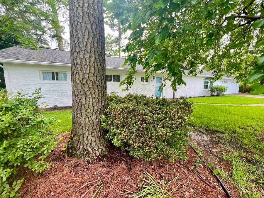 Furnished Finder property 649018_1 photo 14