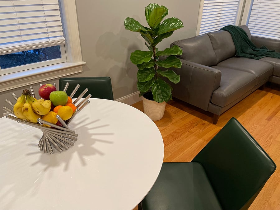 Welcome to Unit 1!