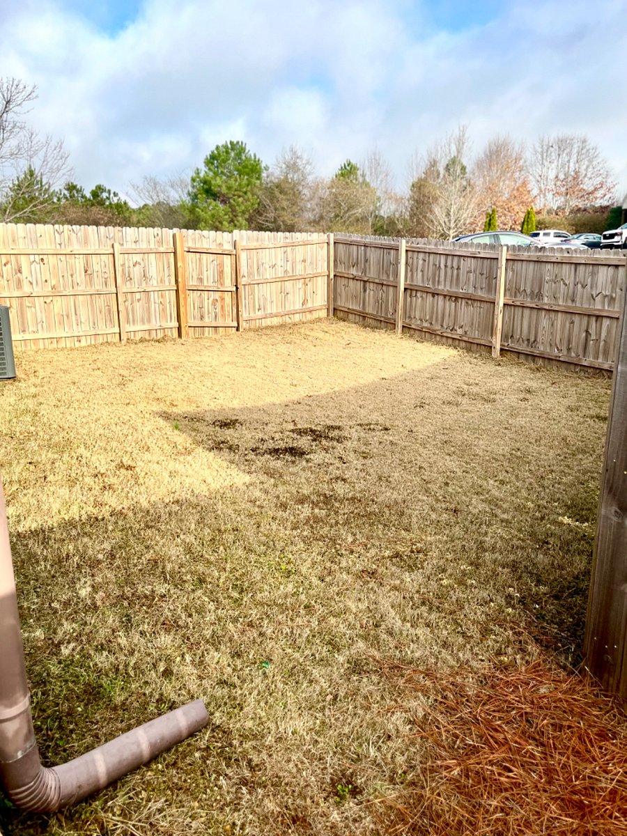 Furnished Finder property 649082_1 photo 16