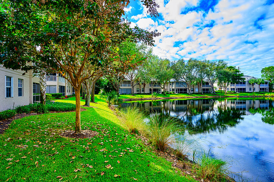 Furnished Finder property 649431_1 photo 23