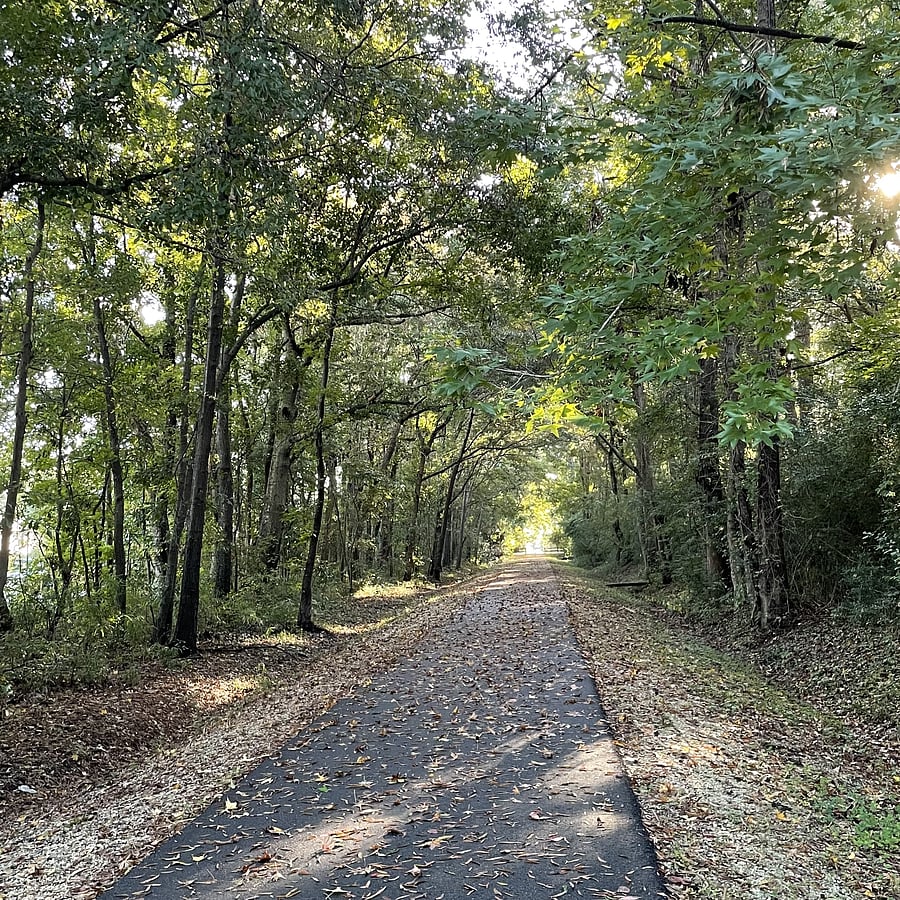 The West Ashley Greenway is a very short walk away. This is a 7 mile paved path perfect for riding bikes, jogging or walking.