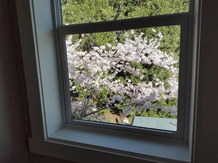 view from living room window looking East