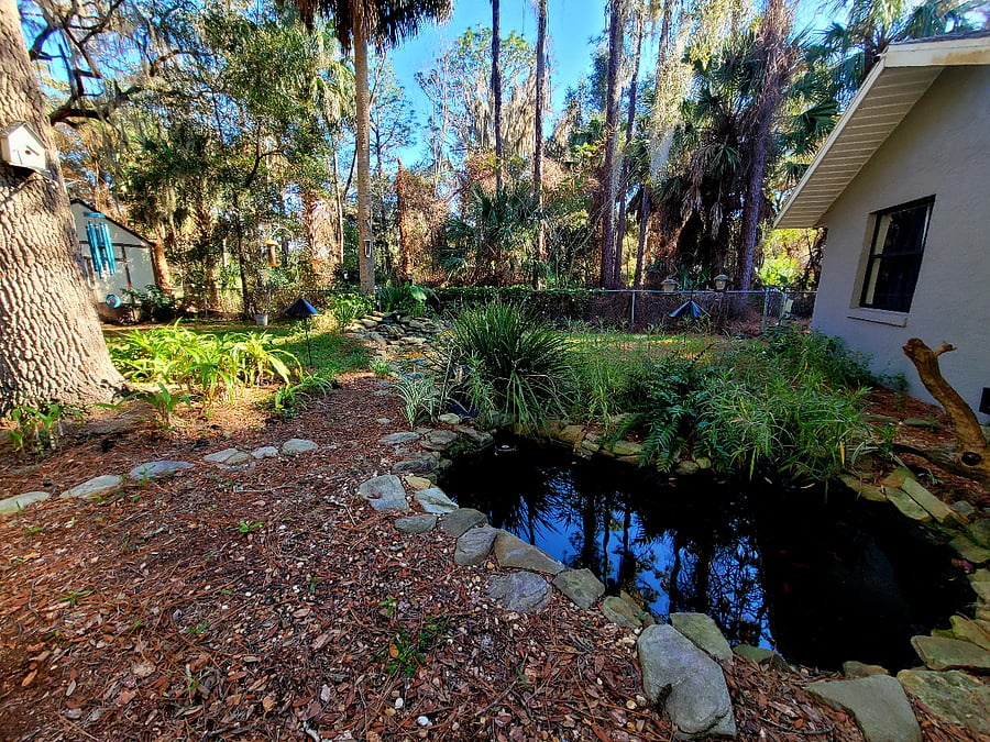 Furnished Finder property 649834_1 photo 16