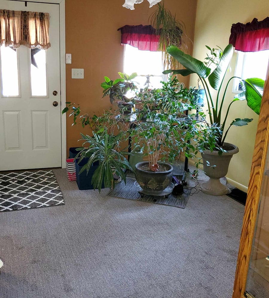 Furnished Finder property 649889_1 photo 5